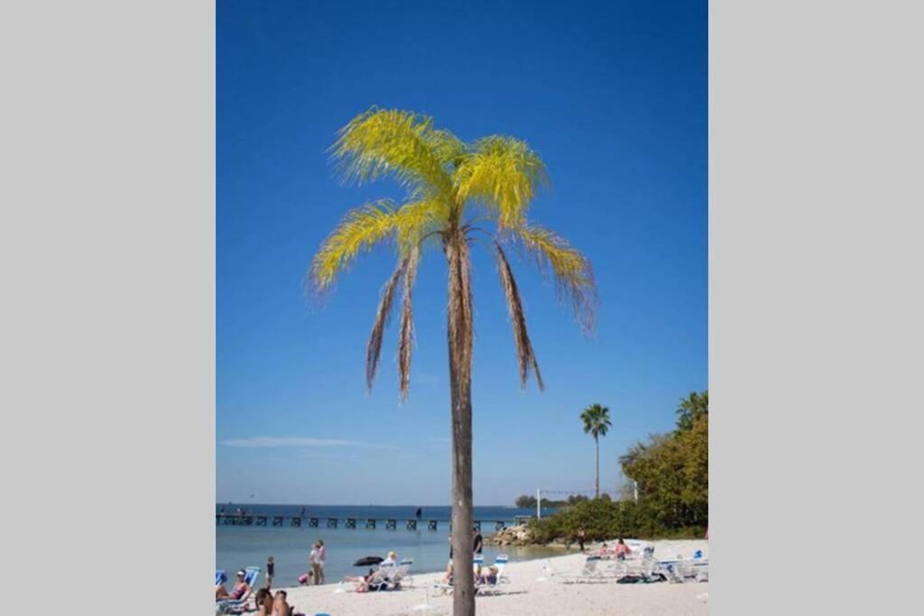 Little Harbor Resort #206 Tampa Bay Fl Beach, Bayview, 2 Pools Ruskin Exterior photo